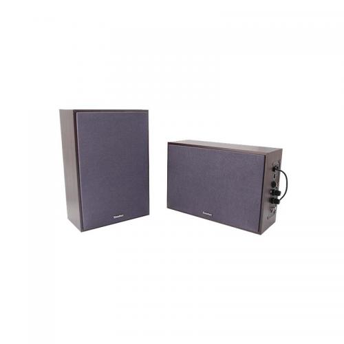 network wall speaker